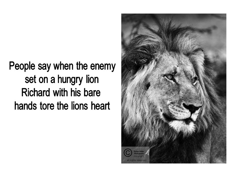 People say when the enemy  set on a hungry lion  Richard with